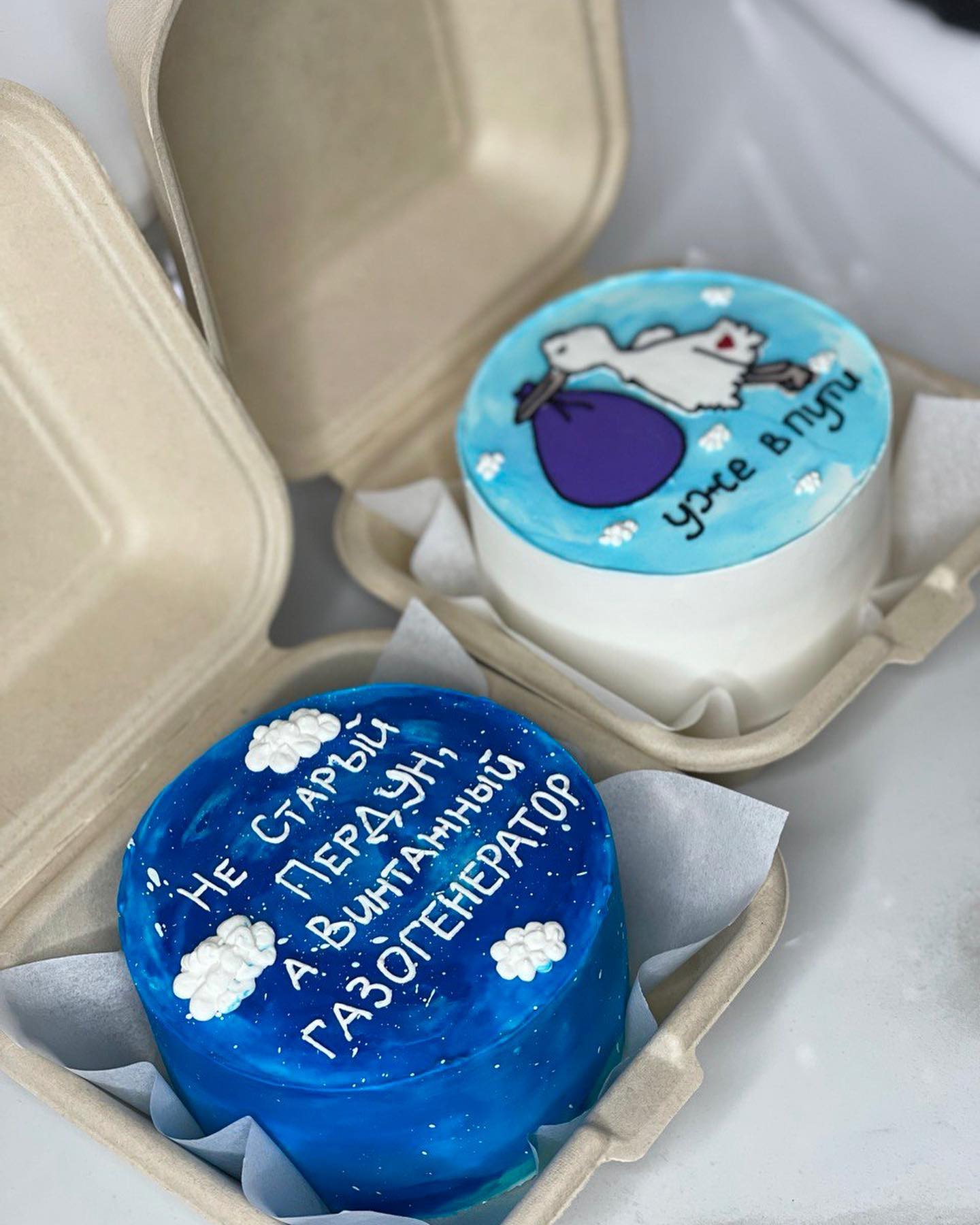 Два бенто-торта: голубой с юмористической надписью и с аистом